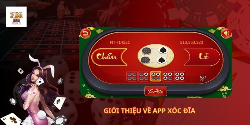 Hướng Dẫn Tải App Xóc Đĩa Dễ Dàng 1 Giới Thiệu Về App Xóc Đĩa