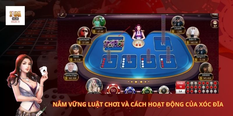 Hướng dẫn cách chơi xóc đĩa luôn thắng 1 Nắm vững luật chơi và cách hoạt động của xóc đĩa