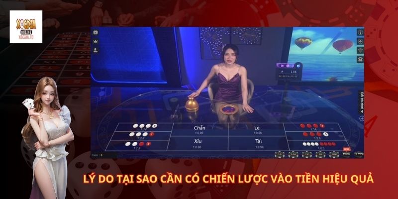 Hướng dẫn cách vào tiền xóc đĩa online 3 Lý do tại sao cần có chiến lược vào tiền hiệu quả