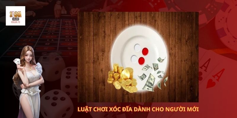 Luật chơi xóc đĩa online cập nhật mới nhất 1 Luật chơi xóc đĩa dành cho người mới