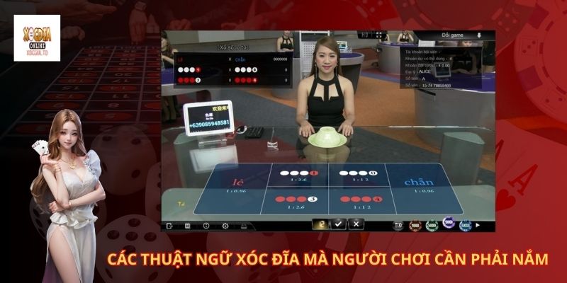 Vì sao nên tìm hiểu những thuật ngữ xóc đĩa? 3 Các thuật ngữ xóc đĩa mà người chơi cần phải nắm